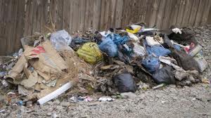 Дүүргийн нутаг дэвсгэрт зөөвшөөрөлгүй хорт хог буулгалаа