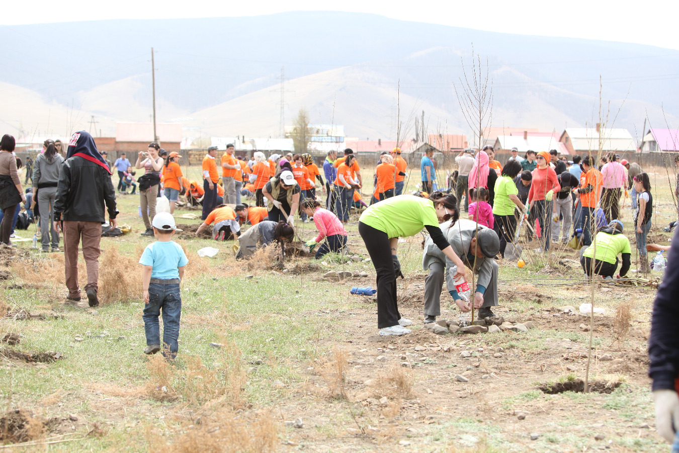 Баянзүрхчүүд бүх нийтээр мод тарив