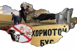 Нийслэл рүү ордог бүс нутгуудад 24 цагийн пост ажиллаж байна