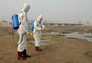 НИЙСЛЭЛ РҮҮ ОРОХ ТОВЧООДОД МЭРГЭЖЛИЙН ХЯНАЛТЫНХАН 24 ЦАГААР АЖИЛЛАЖ БАЙНА