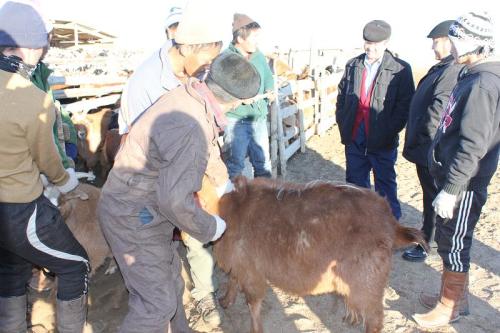 Сэрэмжлүүлэг