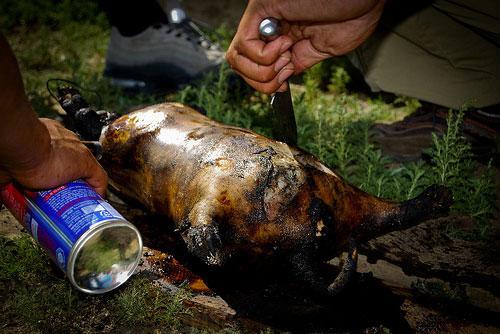 Тарваган тахлаас сэрэмжлүүлж байна