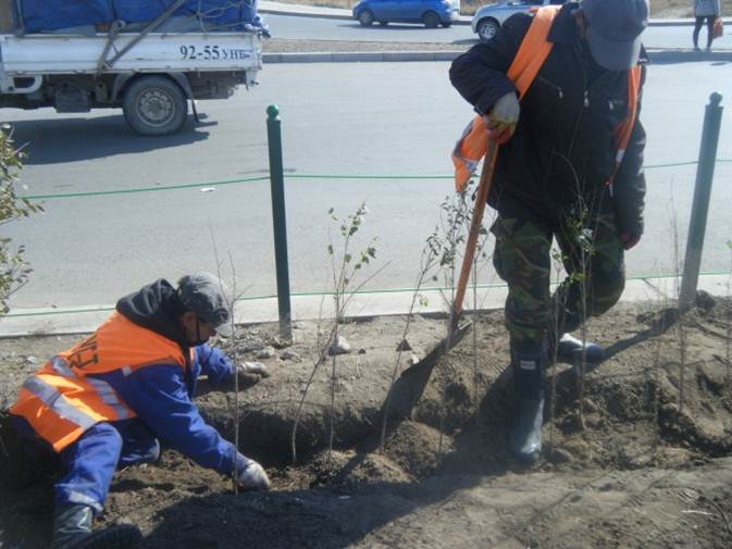 Баянзүрхчүүд 5000 мод тарив