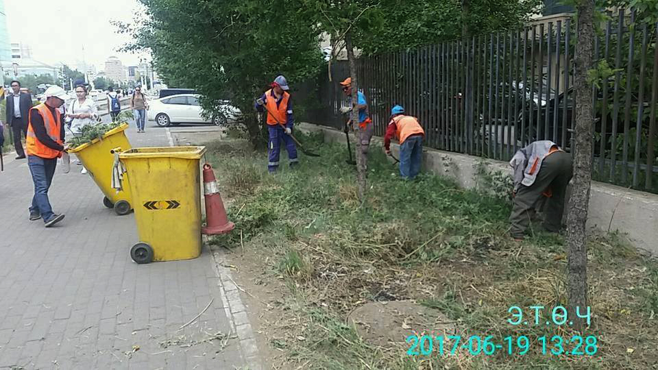 Хөл, газрын ургамлыг устгаж байна