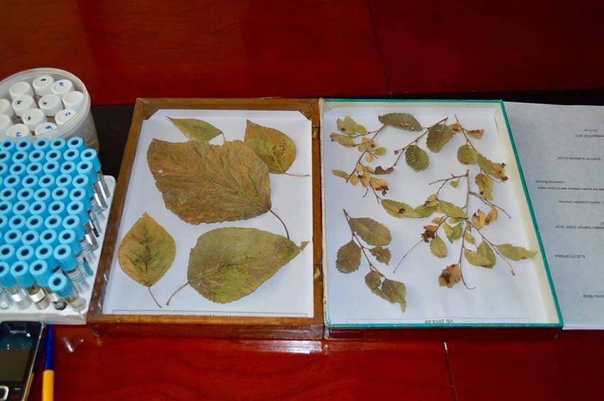 Ногоон байгууламжийн өвчин, хортонтой тэмцэх ажлыг сайжруулах” сэдэвт хоёрдугаар хэлэлцүүлэг болж өнгөрлөө