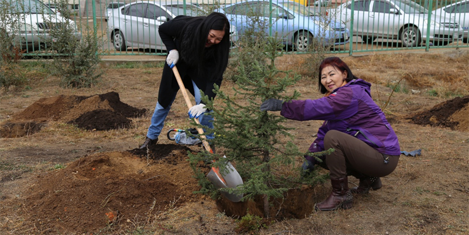“Эко дүүрэг – Ногоон сургууль” хөтөлбөрийг хэрэгжүүллээ