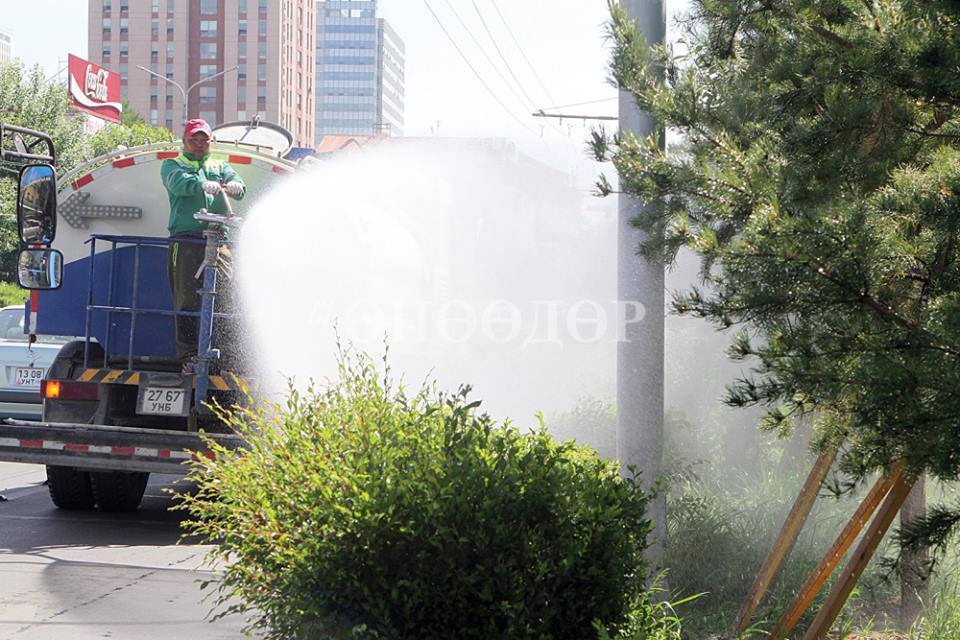 Том оврын шилмүүст моддыг угаах, хаврын цэнэг усалгааны ажил эхэллээ