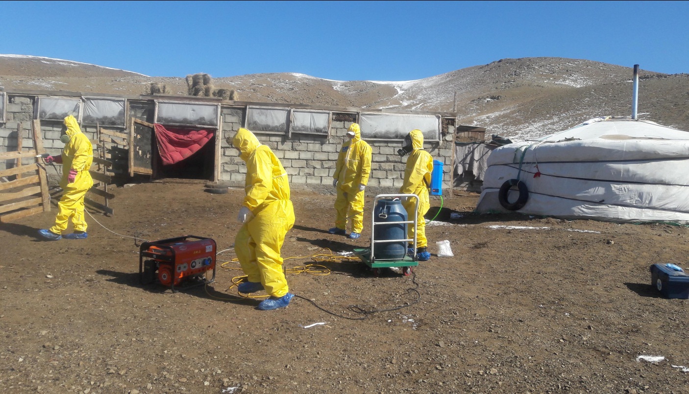 Ариутгал, халдваргүйжүүлэлт хийж байна