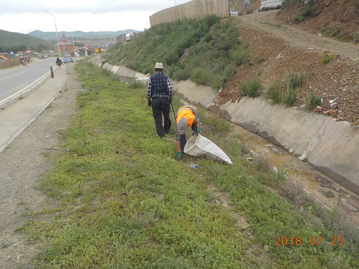 319.915 м.кв талбайн хөл газрын ургамлыг цэвэрлэв