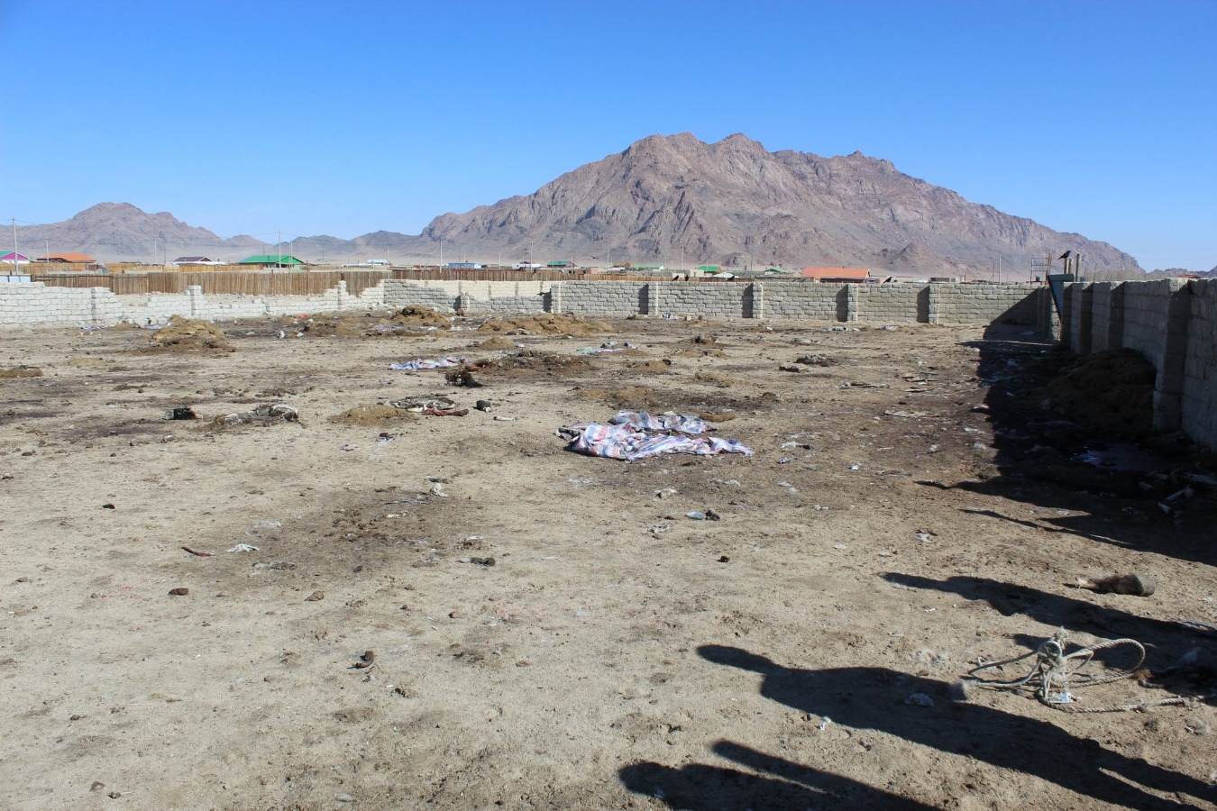 100 гаруй тонн хаягдлыг цэвэрлүүлэв