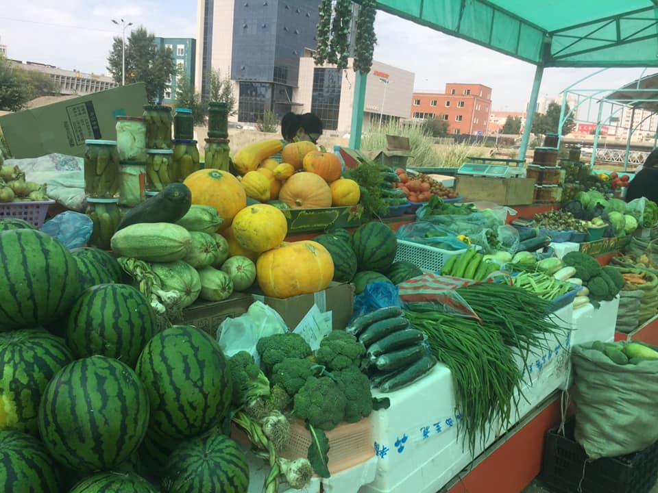 Эх орны хөрсөнд боловсорсон эрүүл хүнсээ худалдан авцгаая