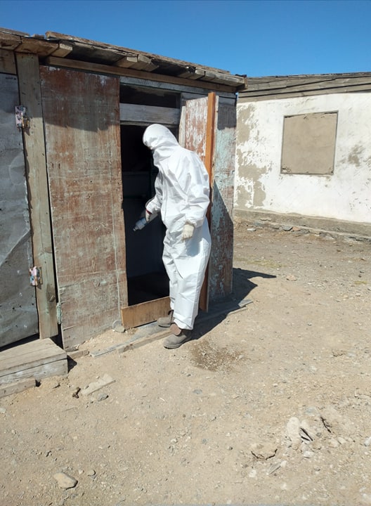 Нүхэн жорлонгийн ариутгал 76 хувьтай явж байна