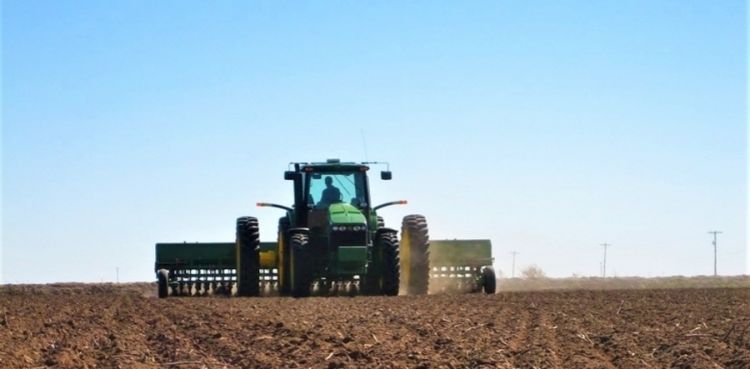 2020 оны хаврын тариалалтад баримтлах агро зөвлөмж